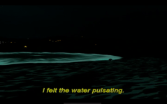 Screen Shot 2015-06-01 at 01.47.28