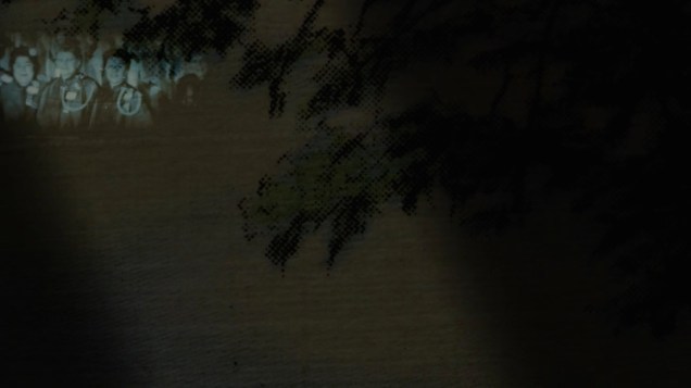 janie_geiser_flowers-frame_grab-01