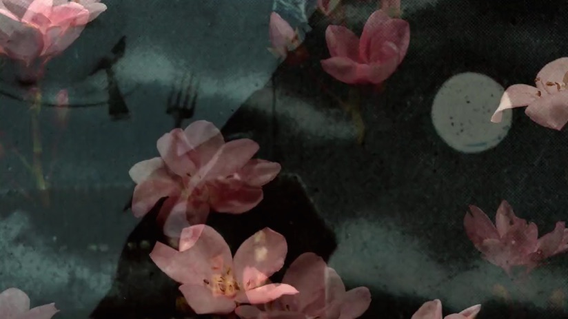 Janie Geiser’s Flowers of the&nbsp;Sky