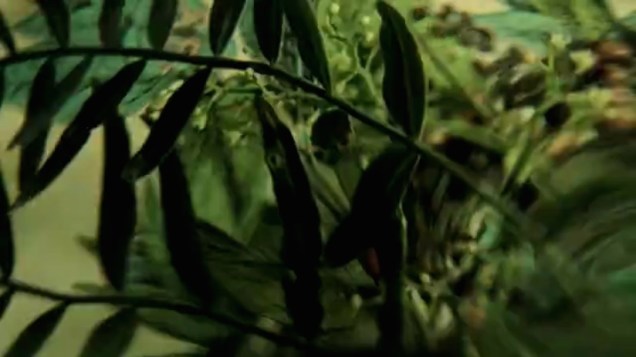 janie_geiser_ricky-frame_grab-02