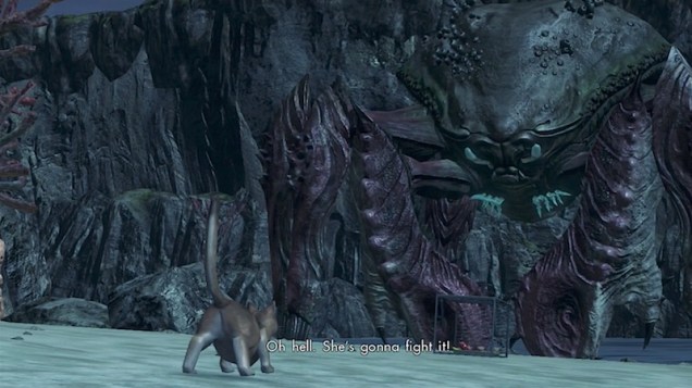 cat_of_the_week_aisha