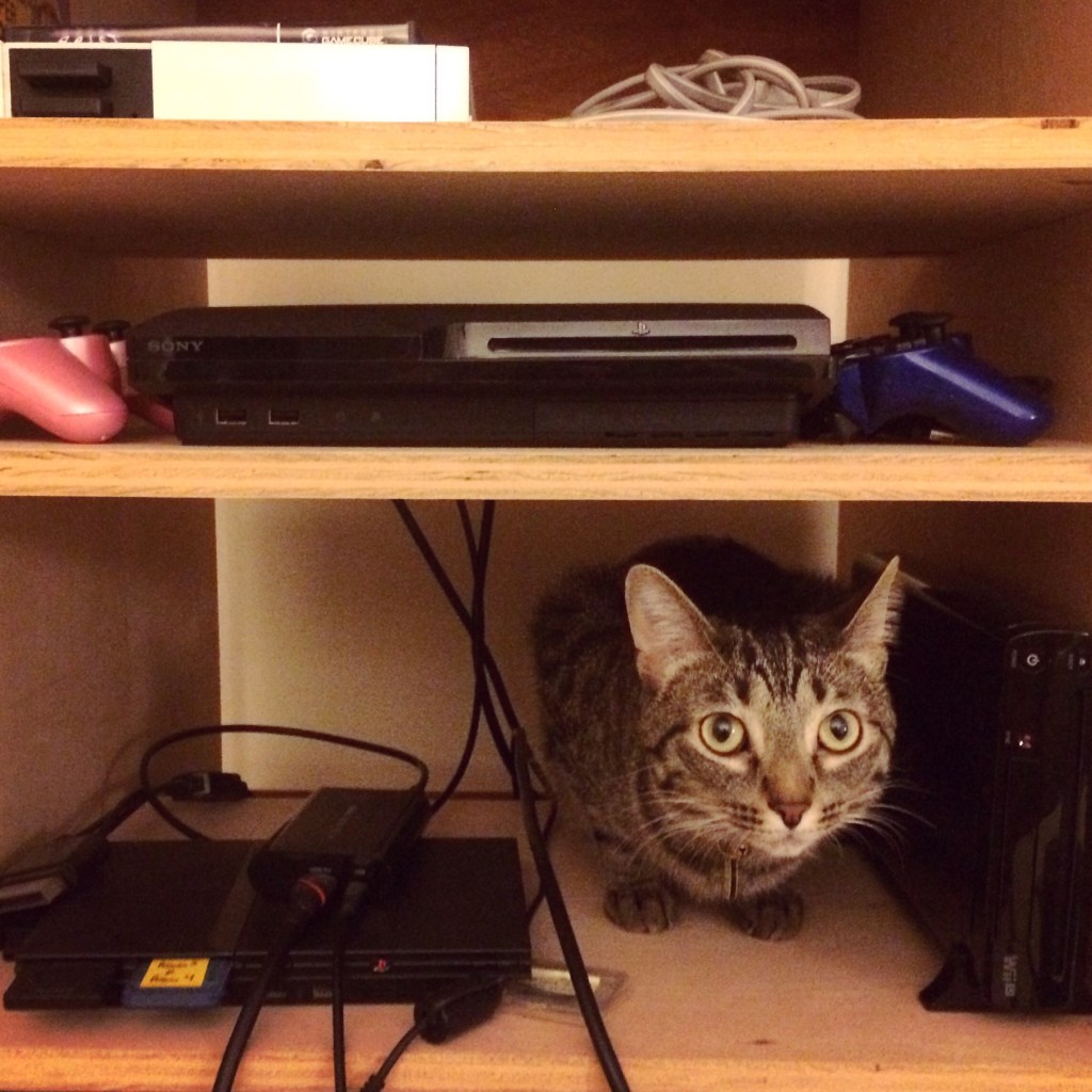 Prolegomena to a History of Cats in&nbsp;Videogames