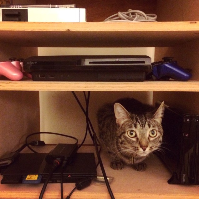 cats_in_videogames.jpg