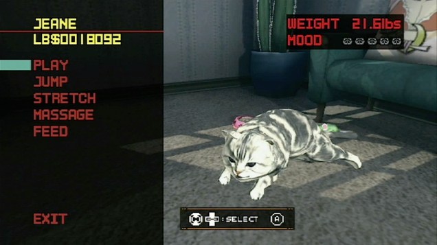 cat_of_the_week_Jeane_01