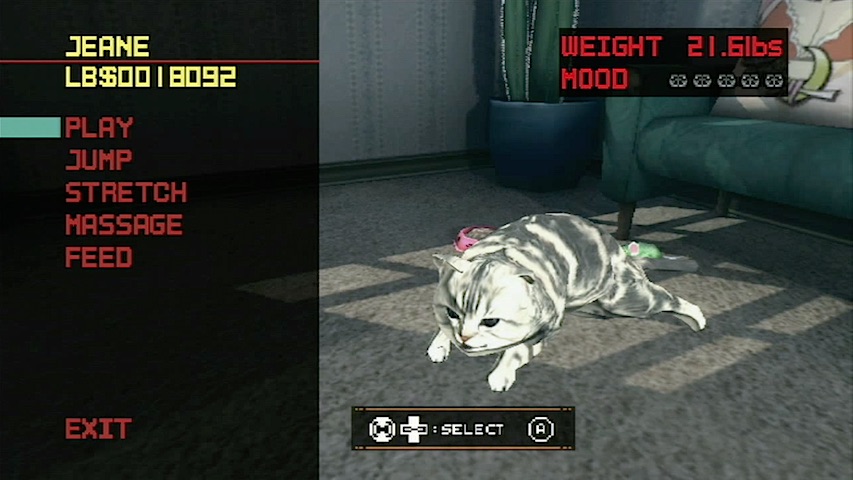 Videogame Cat of the Week:&nbsp;Jeane