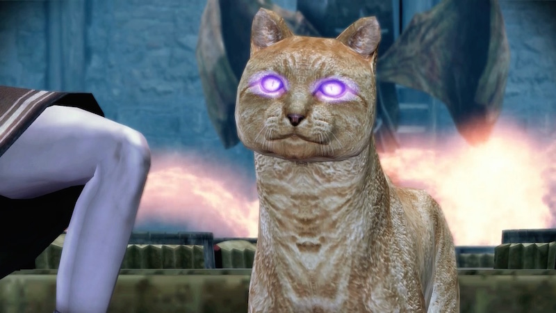 Videogame Cat of the Week:&nbsp;Kitty