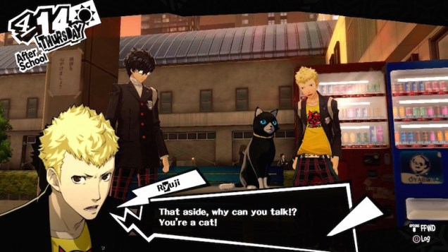 cat_of_the_week_morgana_01