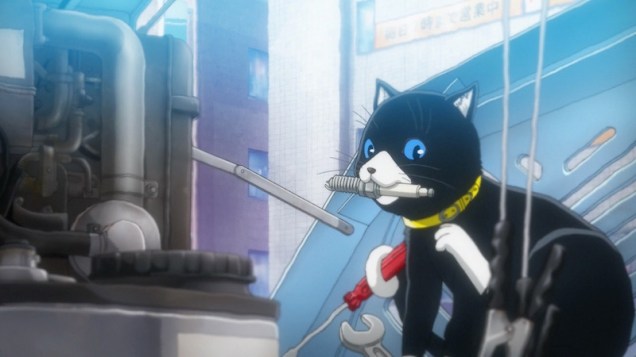 cat_of_the_week_morgana_03