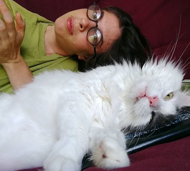 Videogame Cat of the Week: The Fabulous Screech / Remembering Hannah&nbsp;Frank