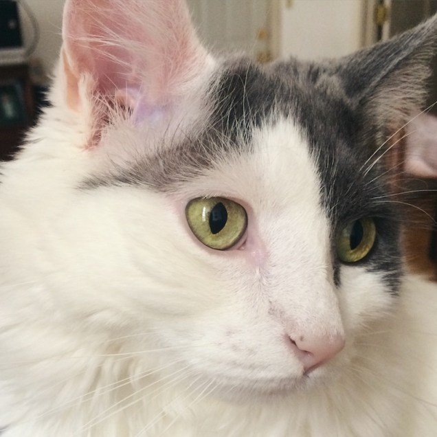 Hannah_Frank_Ingeborg