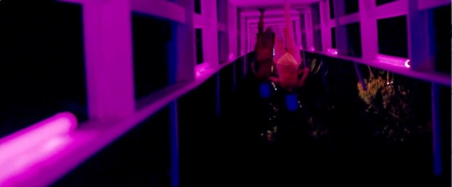 spring_breakers_frame_grab_26