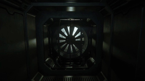 tumblr_nd8y6yvoZD1rqmz7oo1_500.gif